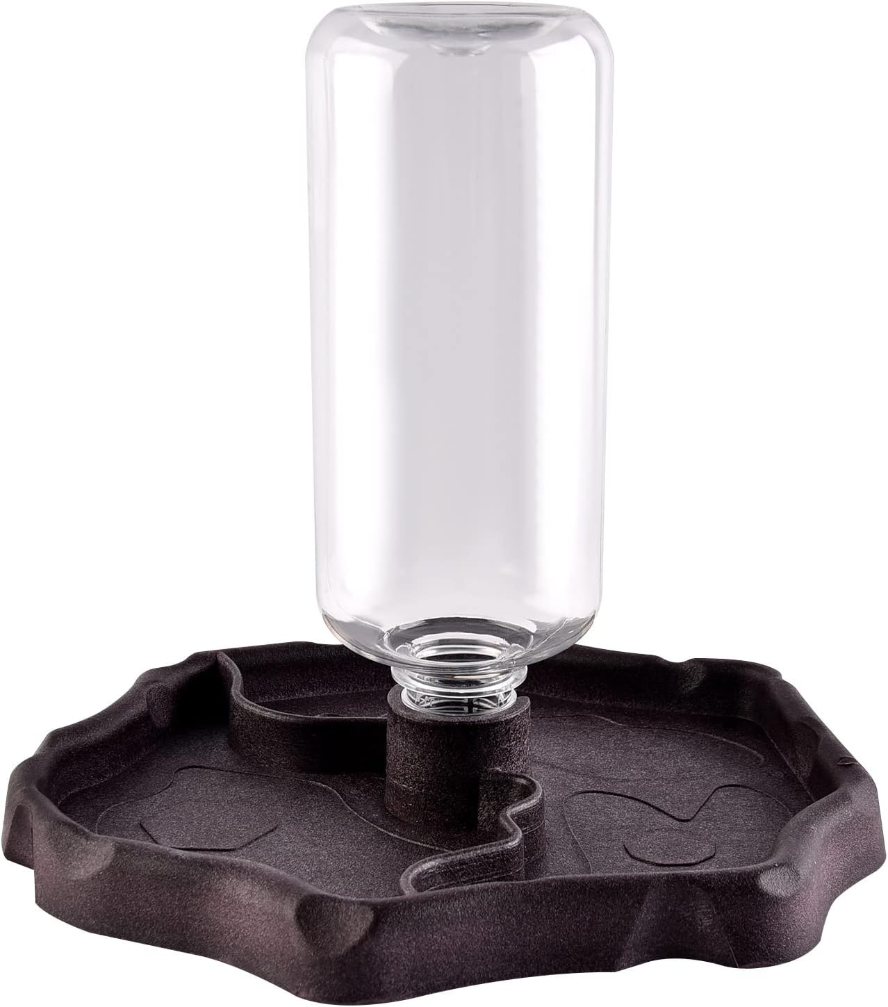 Distributeur d'eau pour Reptile, Abreuvoir Tortue, Mangeoire Gamelle Tortue