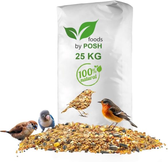 Comprendre le Chant Nocturne des Oiseaux Causes et Significations — free download