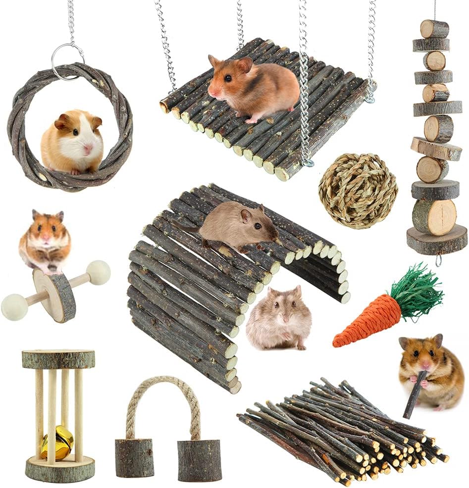Combien de temps vit un hamster ? Découvrez la durée de vie moyenne Zoonimaux