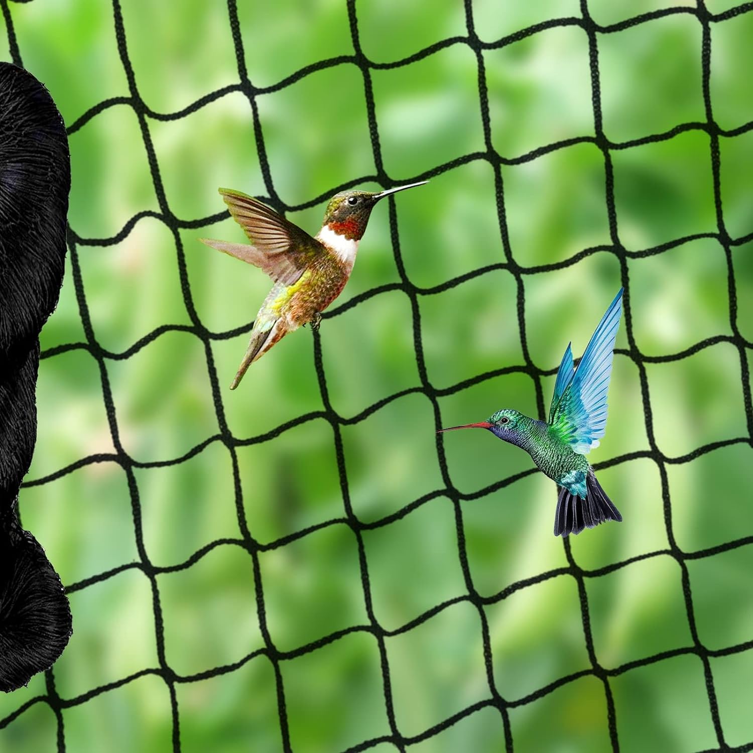 Filet Anti Oiseaux Voliere - Filet Poules de Protection Mailles de 25mm x 25 mm - Polyvalente
