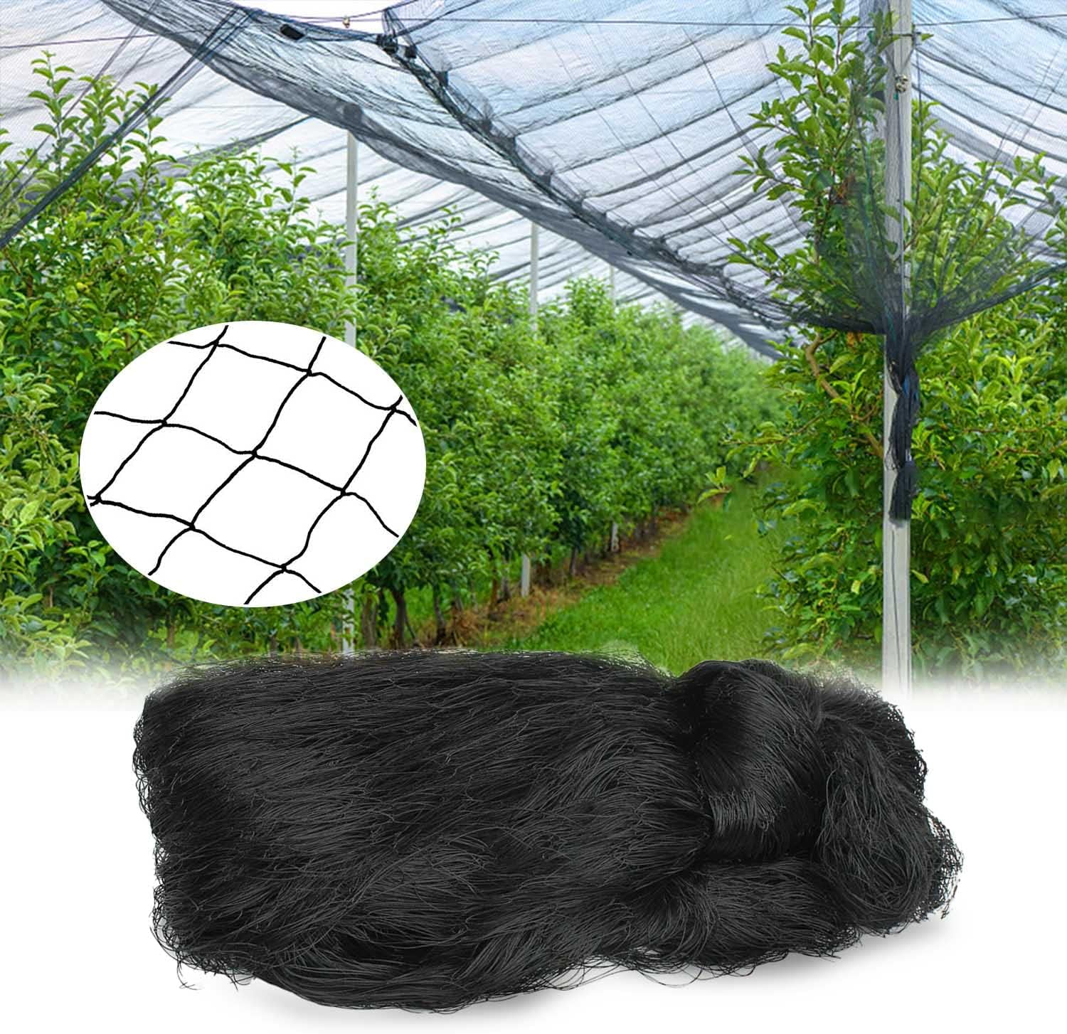 Filet Protection Oiseaux, 5 x 15m Filet Oiseaux, Filet Voliere, Filet Poulailler, Filet Poules, Réutilisable Filet Anti Pigeon Convient pour Protéger Potagers Fruits Contre Dommages