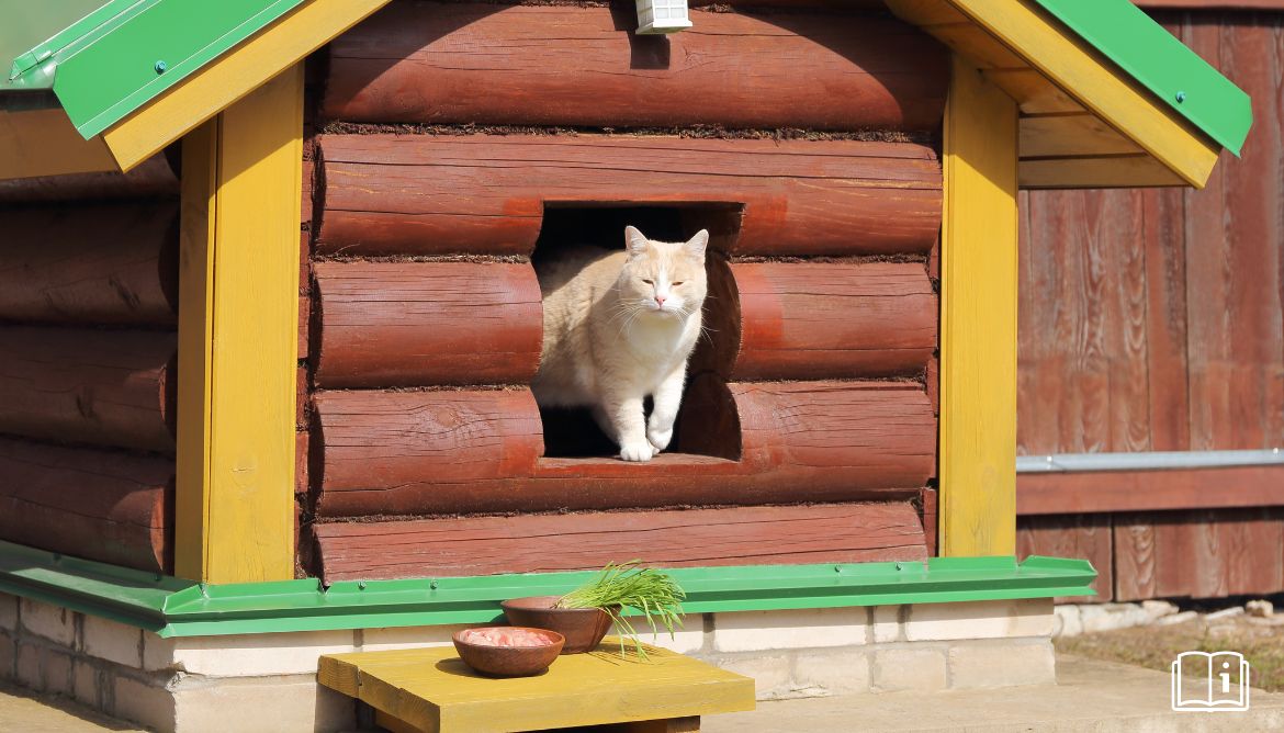 Cabane et Niche pour Chat : Guide Complet et Comparatif des Meilleures Offres