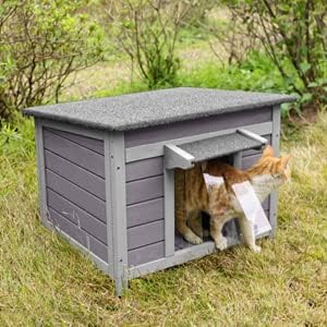 Niche pour chien et chat pour l'extérieur et l'intérieur avec toit étanche