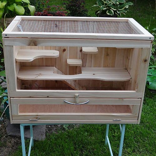 Cage en bois pour petits animaux, 60 x 35 x 42 cm