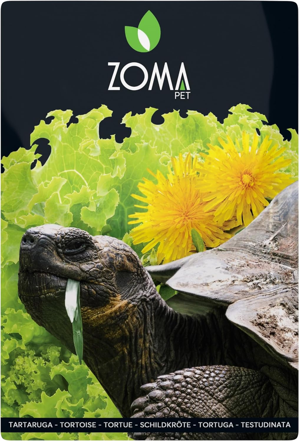 ZOMA Mix Graines Pour Tortues De Terre 6 Herbes avec Pissenlit Trèfle et Laitue
