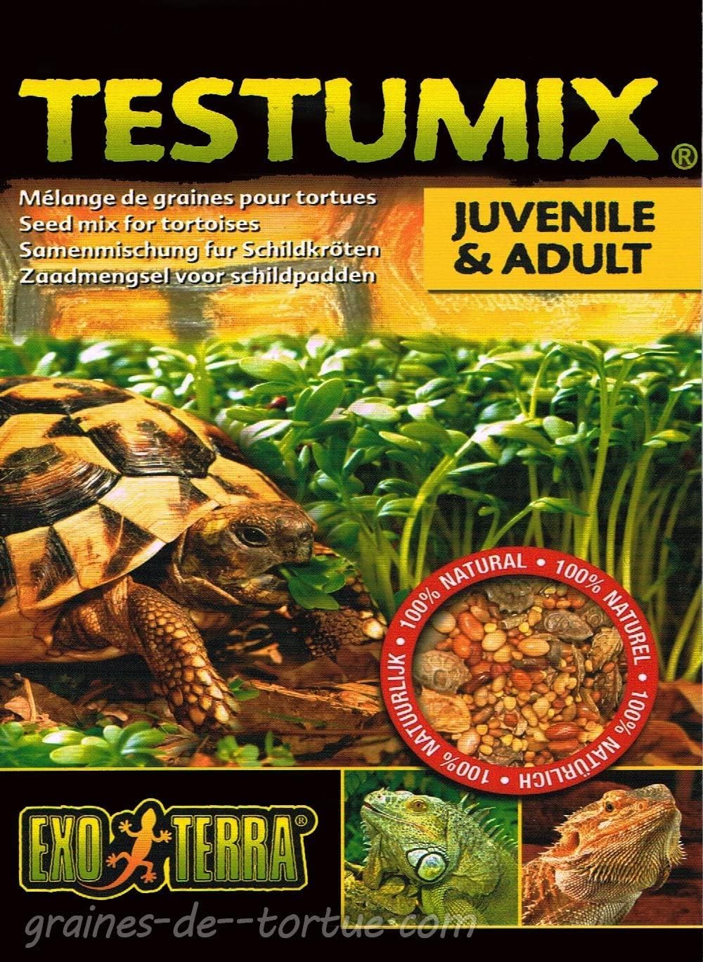 Mélange de graines à semer pour Tortues