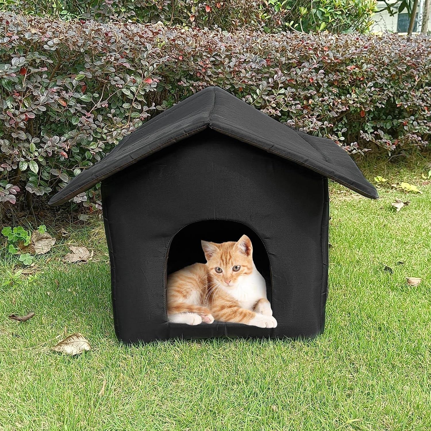 Maison pour Chat Extérieur Hiver, Niche Chat, Chien, Niches À Extérieur