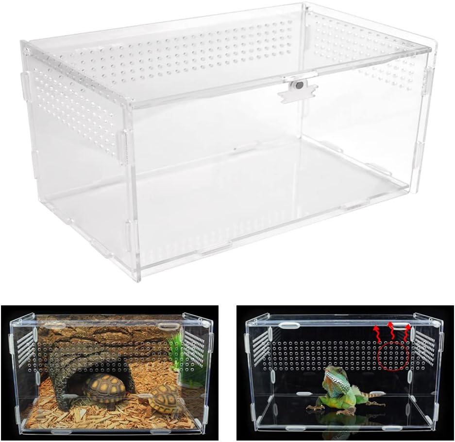 Boîte d'Alimentation d'Insectes Mini Terrarium