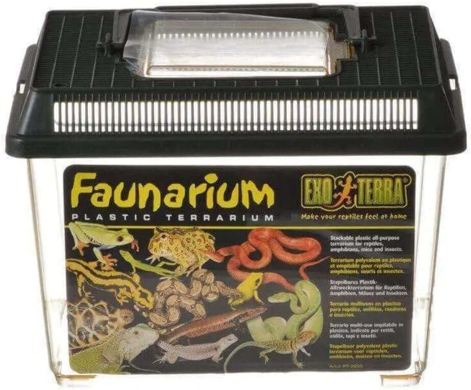 Exo Terra Faunarium Petit pour Reptiles et Amphibiens, 23 x 15,5 x 16,5 cm
