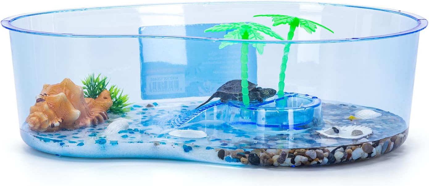 Aquarium de Tortue avec Palmier, Terrarium
