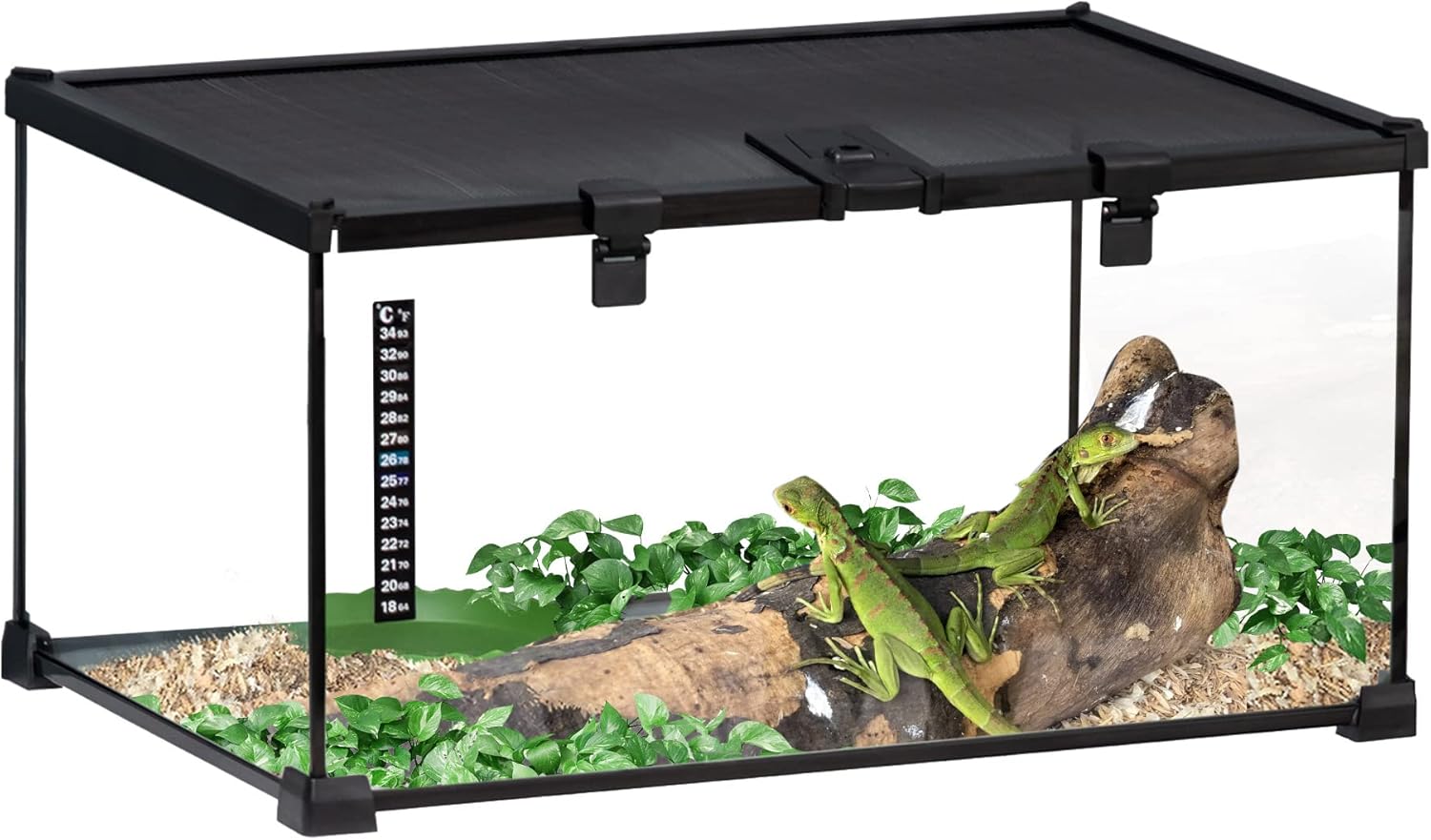 Boîte à Reptiles boîte d'élevage de Reptiles Habitat de Terrarium