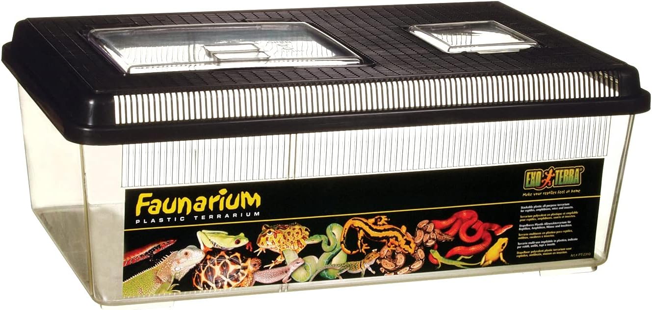 Exoterra Terrarium Polyvalent pour Reptile/Amphibien 46 x 30 x 17 cm