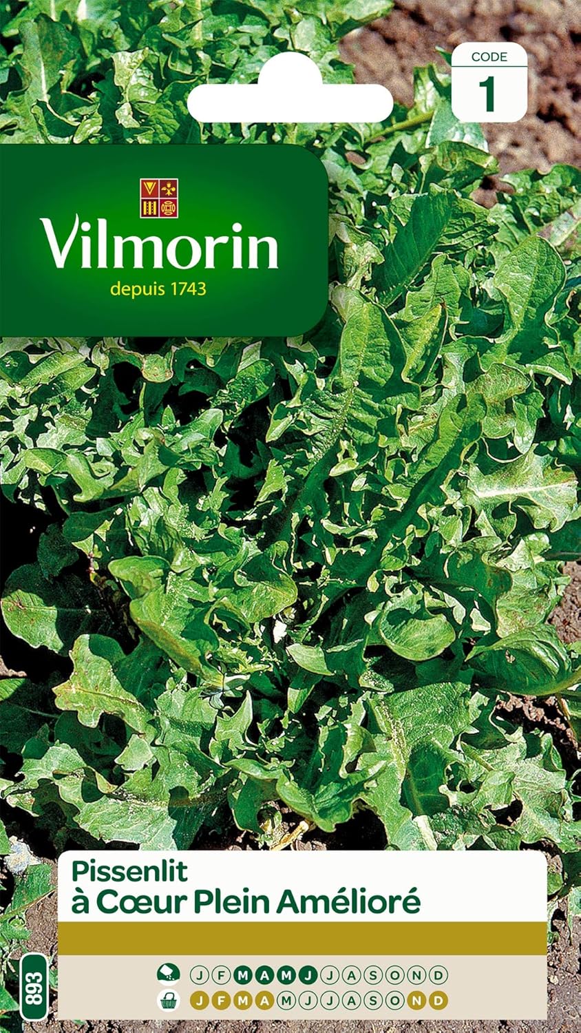 VILMORIN - Pissenlit cœur Plein - Plante très Productive - Forme compacte