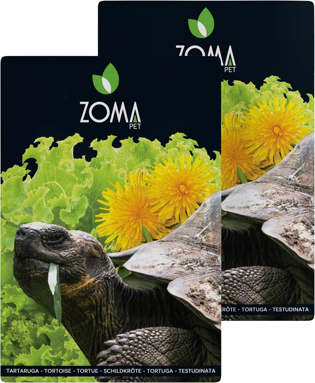 ZOMA Mélange de graines pour tortues de terre 6 herbes avec pissenlit trèfle et laitue, nutrition optimale pour tortues de terre (2 enveloppes 30 gr)