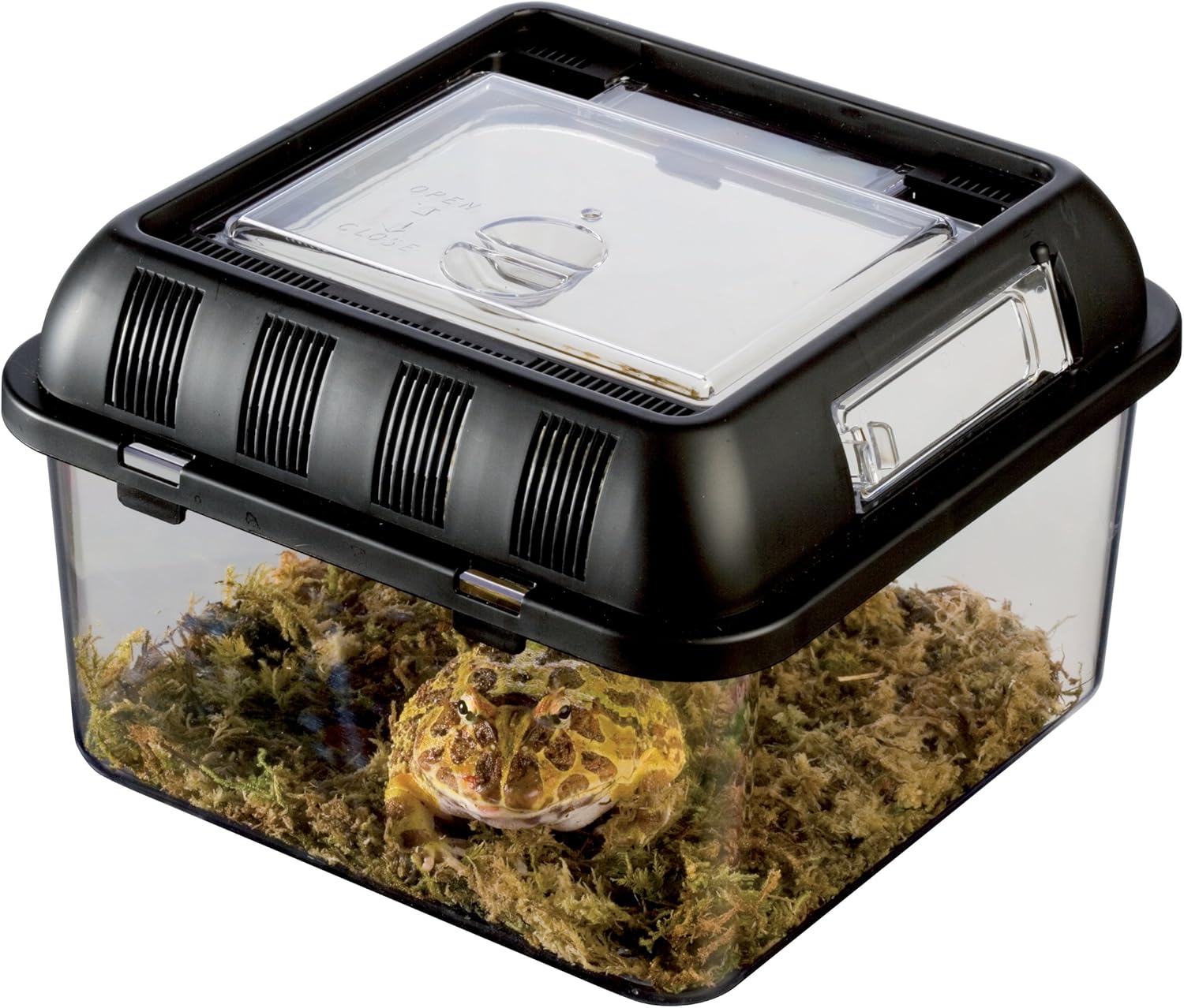 Exoterra Transport pour Reptile Breeding Box S