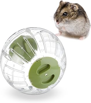 Relaxdays Balle de Hamster, Boule de Course, pour Souris, Chinchilla, Rat, Ø 18,5 cm, Plastique, Transparent/Vert
