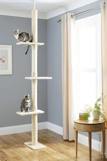 Arbre à chats, du sol au plafond
